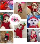 Warm Apple Hoodie for Dogs and Puppies