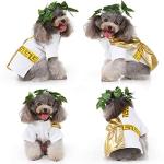 Funny Roman Toga Costume for Small and Medium Dogs