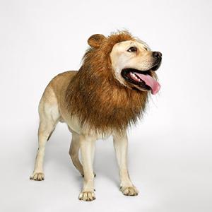 Funny Lion Mane Wig for Medium to Large Dogs