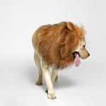 Funny Lion Mane Wig for Medium to Large Dogs