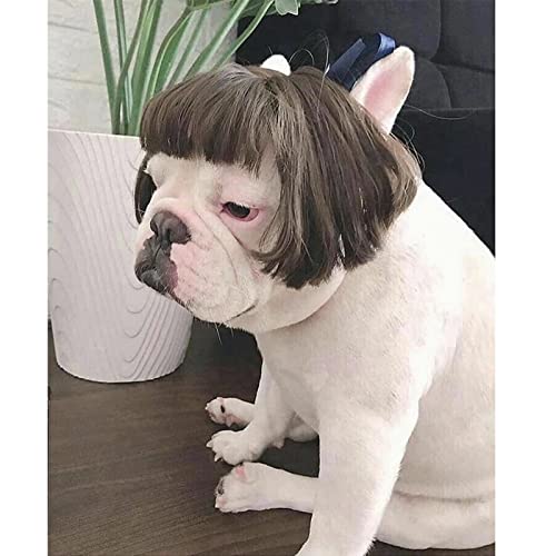 Funny Pet Wig for Dogs and Cats