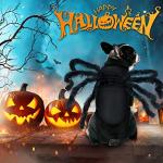 Giant Spider Pet Costume for Halloween Fun