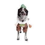 Medium Oktoberfest Dog Costume for Halloween Fun