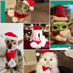 Cat and Dog Christmas Santa Hat with Muffler