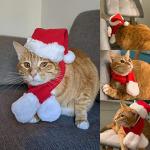Cat and Dog Christmas Santa Hat with Muffler