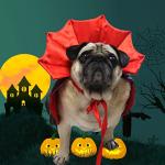Dog Vampire Cape Costume for Halloween Fun