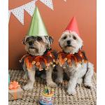 Christmas Cat Costume with Santa Hat and Bells