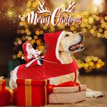 Santa Costume for Dogs and Cats