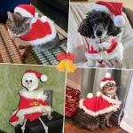 Red Christmas Cat Costume with Cape and Bells