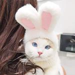 XIMISHOP Bunny Style Pet Hat