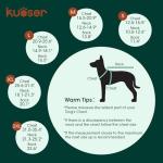 Dog Tuxedo and Bandana Wedding Outfit