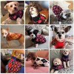 Cozy Knit Turtleneck Sweater for Small Dogs