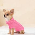 Cute Chihuahua Sweater Set for Small Dogs