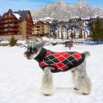 Cozy Knit Turtleneck Sweater for Small Dogs