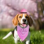 Pink Cowboy Costume Set for Dogs and Cats