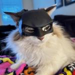 Funny Cat Mask for Halloween Costumes