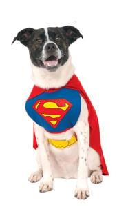Superman Pet Costume for Dogs and Cats, XL
