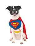Superman Pet Costume for Dogs and Cats, XL