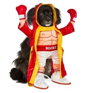 Rocky Balboa Pet Costume for Dogs or Cats