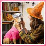 Wolf Grandma Dog Costume Set for Halloween