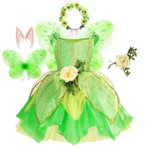 Fairy Costume for Girls Birthday and Halloween