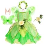Fairy Costume for Girls Birthday and Halloween