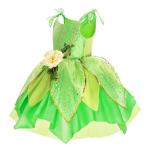 Fairy Costume for Girls Birthday and Halloween