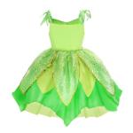 Fairy Costume for Girls Birthday and Halloween