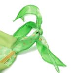 Fairy Costume for Girls Birthday and Halloween