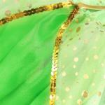 Fairy Costume for Girls Birthday and Halloween