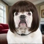 Funny Dog Wig for All Dogs - Adjustable & Trimmable