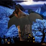 Rypet XL Bat Wings Costume for Dogs and Cats