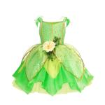 Fairy Costume for Girls Birthday and Halloween