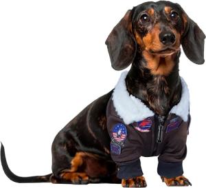 Top Gun Maverick Costume for Dogs and Cats