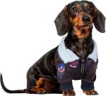 Top Gun Maverick Costume for Dogs and Cats