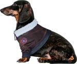 Top Gun Maverick Costume for Dogs and Cats