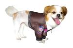 Top Gun Maverick Costume for Dogs and Cats