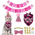 Pink Cat Birthday Hat and Bow Tie Set