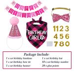 Pink Cat Birthday Hat and Bow Tie Set