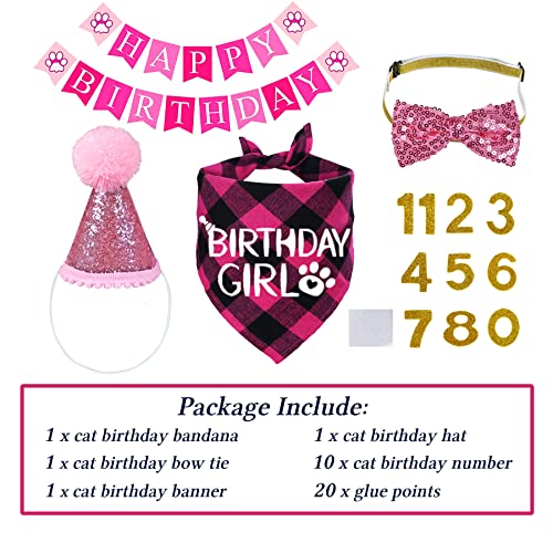 Pink Cat Birthday Hat and Bow Tie Set