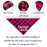 Pink Cat Birthday Hat and Bow Tie Set