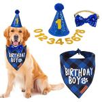 Birthday Party Hat and Bandana for Dogs