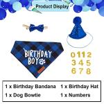 Birthday Party Hat and Bandana for Dogs