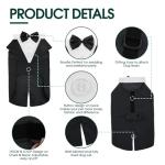 Dog Tuxedo and Bandana Wedding Outfit