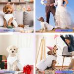 Cute White Tutu Dress for Small Dogs
