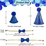 Birthday Party Hat and Bandana for Dogs