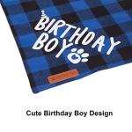 Birthday Party Hat and Bandana for Dogs