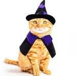 Halloween Witch Cape Costume for Small Pets