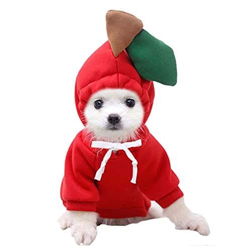 Warm Apple Hoodie for Dogs and Puppies