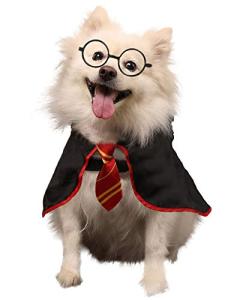 Coomour Wizard Costume for Dogs and Cats